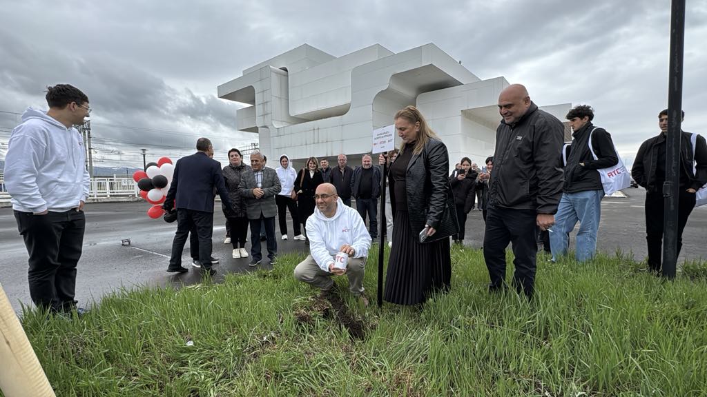 პროექტის "საქართველოს 